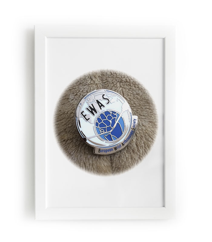 European Wrist Arthroscopy Society