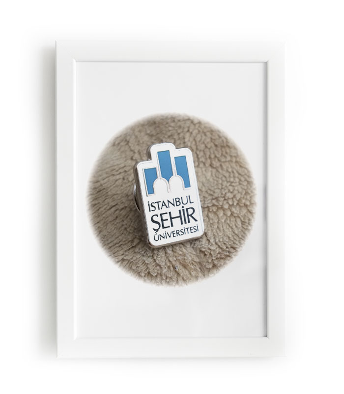 İstanbul Şehir Üniversitesi