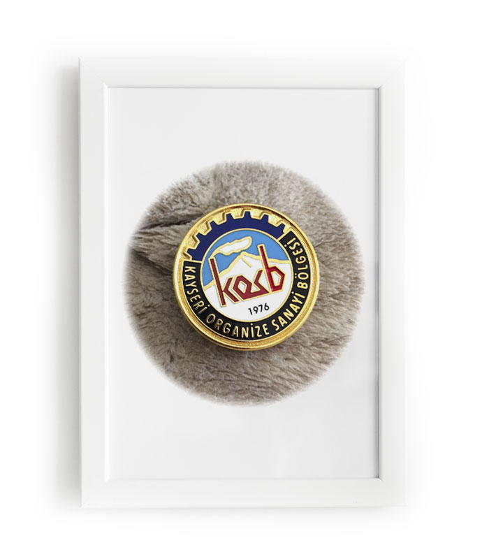 Kayseri Organize Sanayi Bölgesi