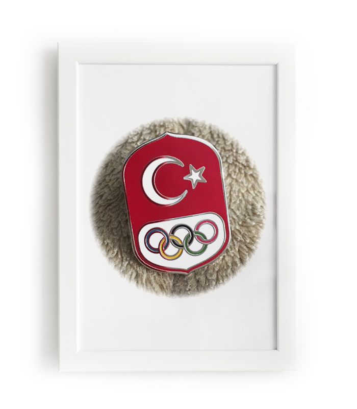 Türkiye Milli Olimpiyat Komitesi