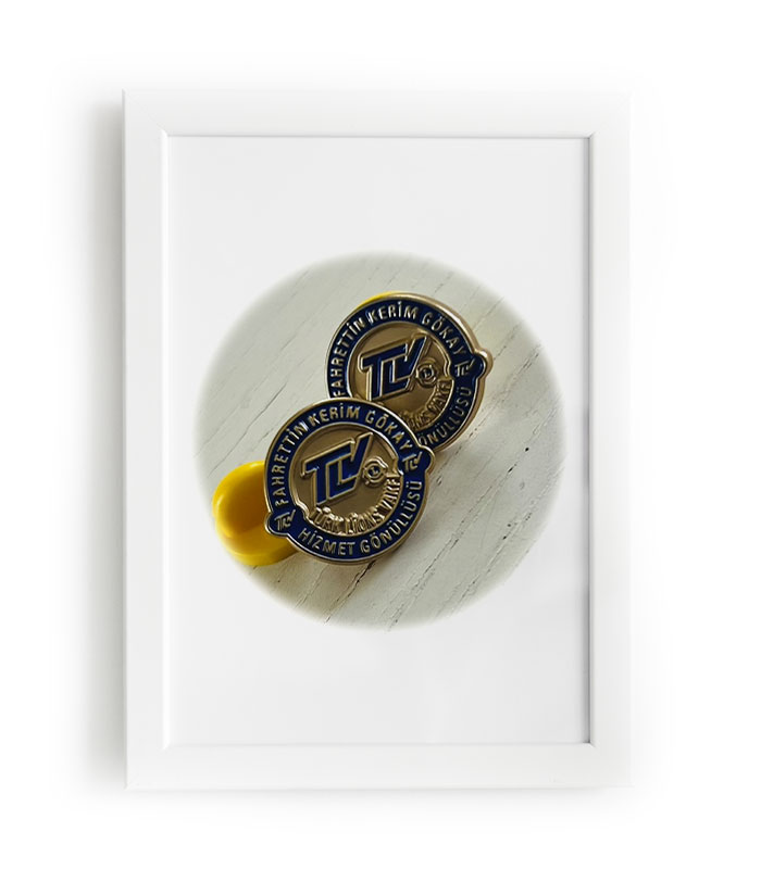 Türkiye Lions Vakfı